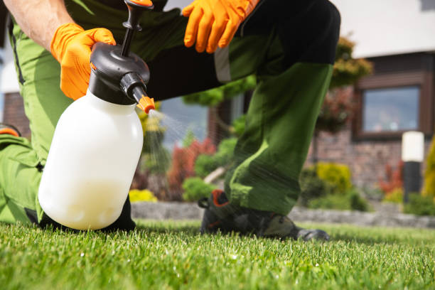 Reliable Wausau, WI Pest Control Solutions