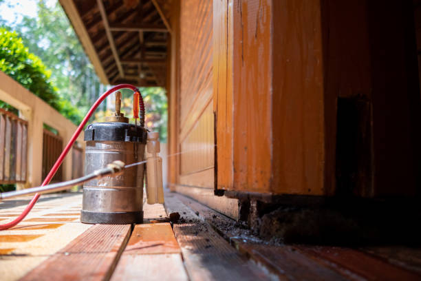 Best Pest Removal Services  in Wausau, WI