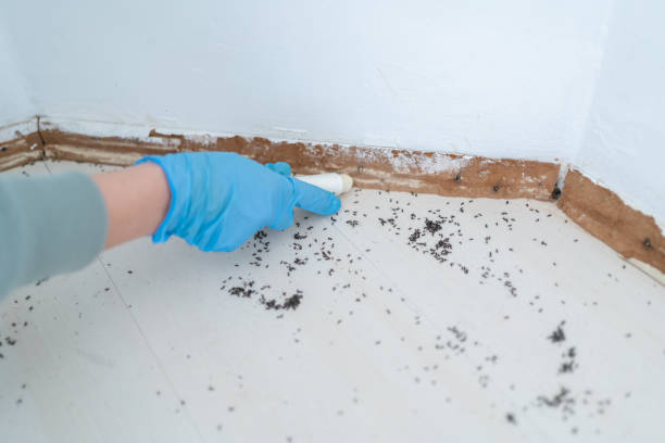 Best Wildlife Control Services  in Wausau, WI